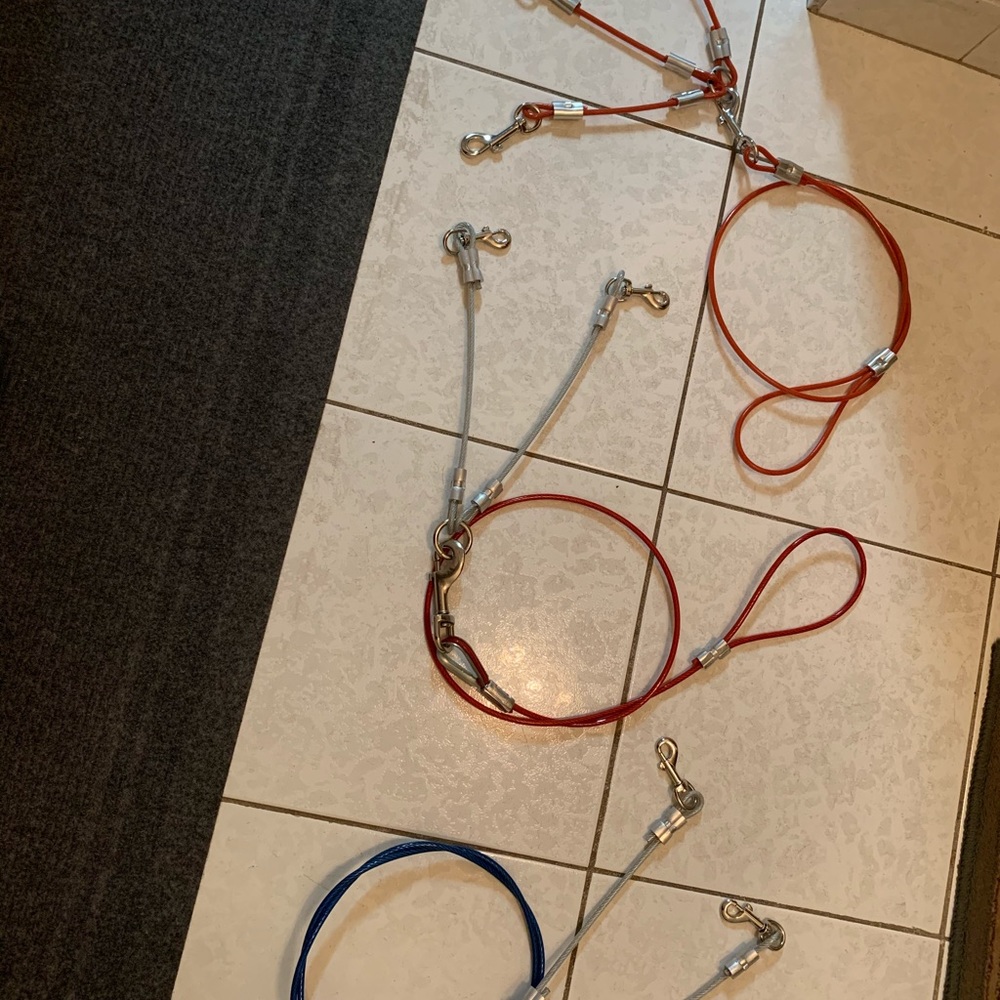 Dog leash - Picture 4 of 8